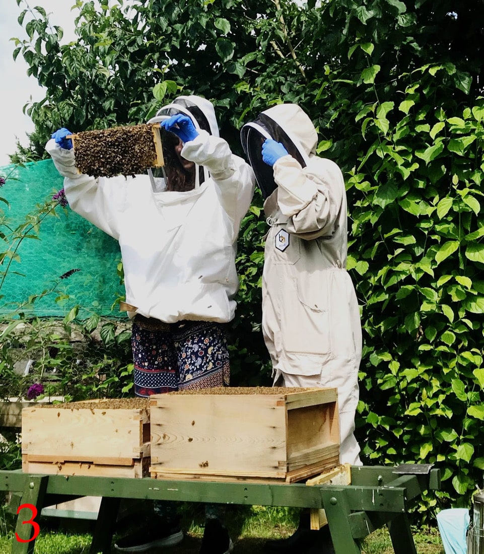 Art of beekeeping 3
