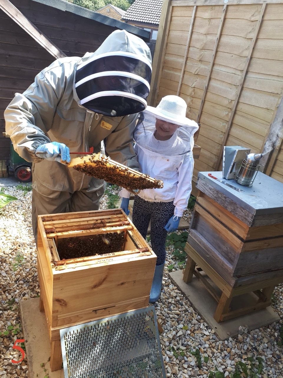 Art of beekeeping 5
